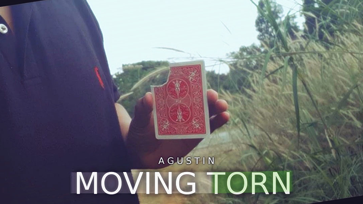 Moving Torn by Agustin video DOWNLOAD Moving Torn by Agustin video DOWNLOAD