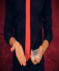 Flawless by Shin Lim video DOWNLOAD