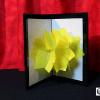 Chameleon Flower (Plastic) by Mr. Magic - Trick Chameleon Flower (Plastic) by Mr. Magic - Trick