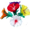 Feather Flower (5 Bloom - Germany) Feather Flower (5 Bloom - Germany)