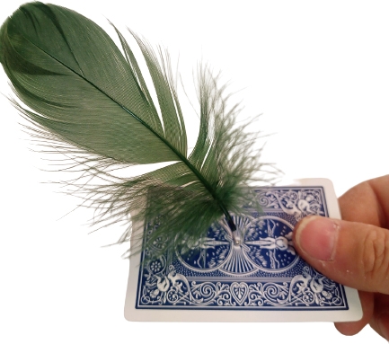 Dancing Feather - Mr. Jupiter Dancing Feather - Mr. Jupiter