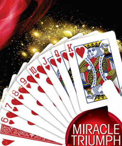 MIRACLE TRIUMPH by Syouma - Trick