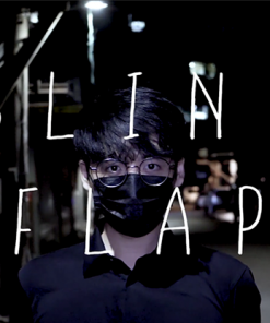 The Vault - Blind Flap Project by PH and Mario Tarasini video DOWNLOAD