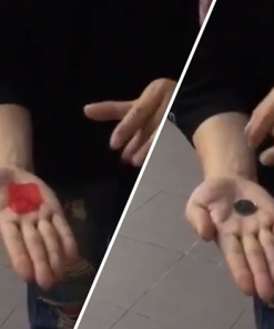 PETAL TO COIN by JL Magic - Trick