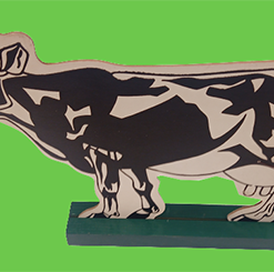 Holy Cow - Ireland Magic Company ESTATE