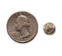 Miniature Quarter (Bag of 6)