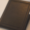 Chameleon Skin Wallet - Jim Steinmeyer