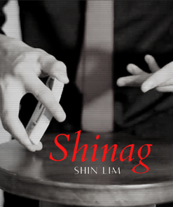 The Vault - Shinag by Shin Lim video DOWNLOAD