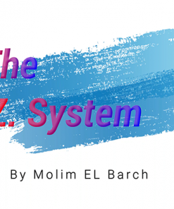 The Z. System by Molim El Barch video DOWNLOAD