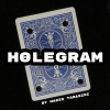 Holegram by Mario Tarasini video DOWNLOAD Holegram by Mario Tarasini video DOWNLOAD