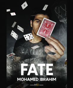 Fate by Mohamed Ibrahim video DOWNLOAD