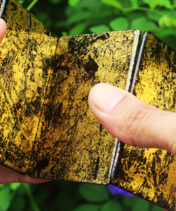Stardust - Retro Trainers (Gold Flake) by Magic Encarta - Trick