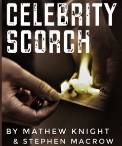 Celebrity Scorch (Downey Jr & Beckham) by Mathew Knight and Stephen Macrow