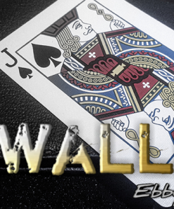 X-wallet by Ebbytones video DOWNLOAD