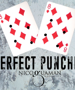 Perfect Punched By Nico Guaman video DOWNLOAD