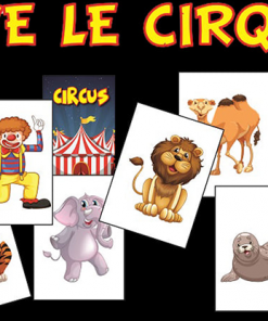 VIVE LE CIRQUE by Sébastien Delsaut - Trick