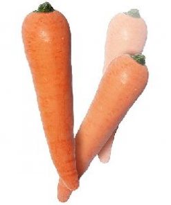 Multiplying Carrots - Latex - 2 carrot set