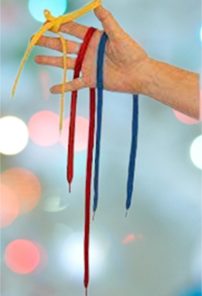 Primary Colors Shoelaces - David Ginn