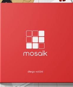 MOSAIK by Diego Voltini - Book