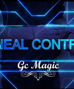 Linear Control by Gonzalo Cuscuna video DOWNLOAD