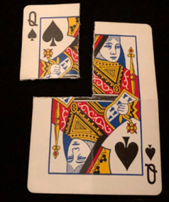Stacked by Zack Fossey video DOWNLOAD