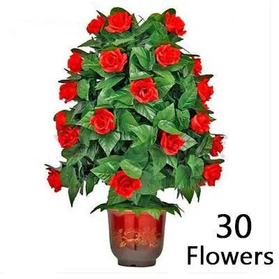 Blooming Rose Bush (30 Bloom) Blooming Rose Bush (30 Bloom)