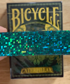 Gilded Bicycle Caterpillar (Dark) Playing Cards
