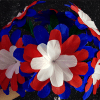 Daisy Flower - Black's Magic Daisy Flower - Black's Magic