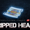 Ripped Heal by Ebbytones video DOWNLOAD