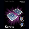 Karate by Andrew video DOWNLOAD Karate by Andrew video DOWNLOAD