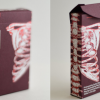 Anatomica Playing Cards