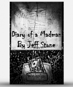 Diary of a Madman by Jeff Stone - Book