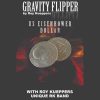 Gravity Flipper (Eisenhower) - Roy Kueppers