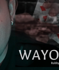 Wayout by Robby Constantine video DOWNLOAD