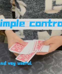 Simple Control by Dingding video DOWNLOAD