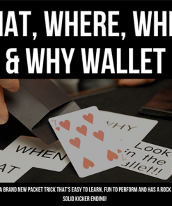 What, Where, When and Why (Gimmicks and Online Instructions) by Vulpine - Trick