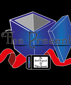 THE PRESENT by Dylan Sausset