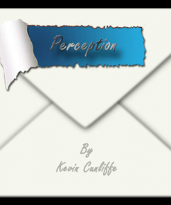 PERCEPTION by Kevin Cunliffe eBook DOWNLOAD