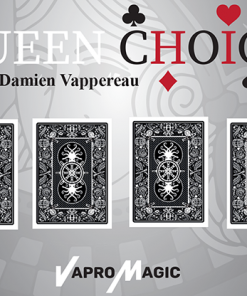 Find The Queen by Damien Vappereau - Trick