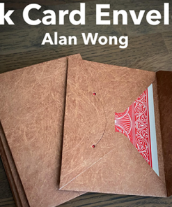 Tyvek Card Envelopes 10 pk. BROWN by Alan Wong- Trick Tyvek Card Envelopes 10 pk. BROWN by Alan Wong- Trick