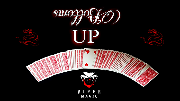 Bottoms UP by Viper Magic video DOWNLOAD Bottoms UP by Viper Magic video DOWNLOAD