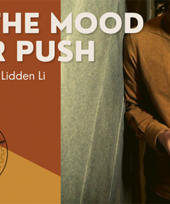 The Vault - In The Mood For Push by Lidden Li video DOWNLOAD
