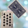 14 of Spades (blue) Bicycle