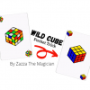 Wild Cube by Zazza The Magician  video DOWNLOAD