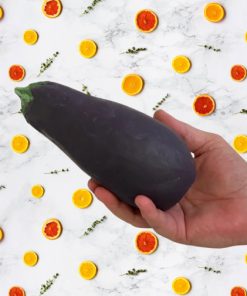 Eggplant - Steve Myers