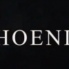 Phoenix (Blue) - Sirus Magic & Premium Magic Store - Trick