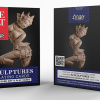 Sculptures Playing Cards-The Met x Lingo