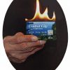 Flaming Credit Card - Peter Austin / John Blake