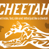 Chetah (Gimmicks and Online Instructions) by Berman Dabat and Michel - Trick