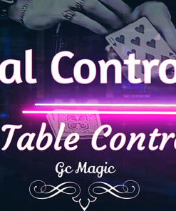 Linear Control 2.0 Gonzalo Cuscuna video DOWNLOAD
